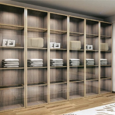 簡(jiǎn)約鈦金不銹鋼衣柜